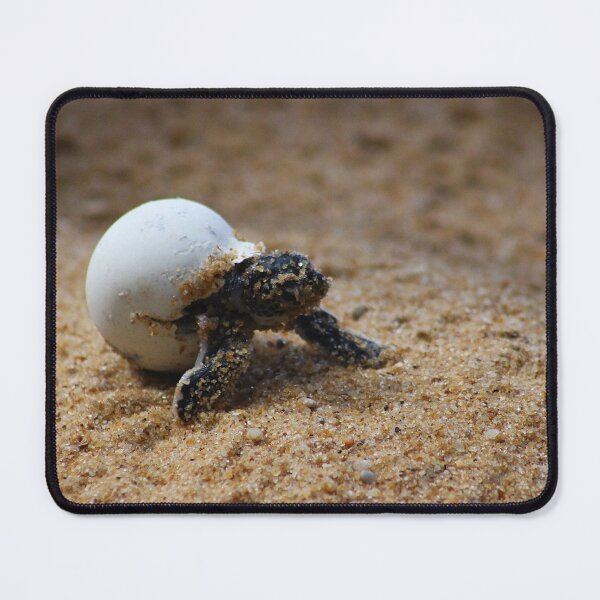 Item preview, Breaking Free designed and sold by AspenEyesPhotography.