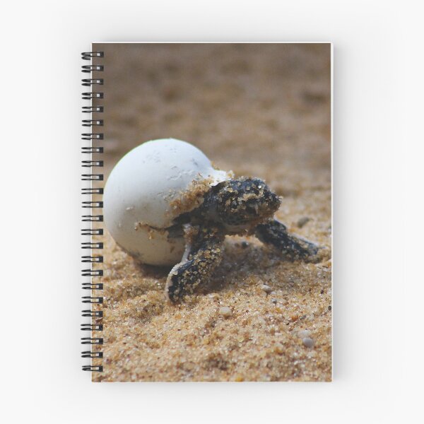 Item preview, Breaking Free designed and sold by AspenEyesPhotography.