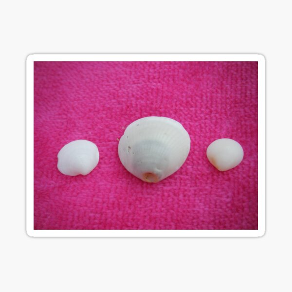 Item preview, 3 shells on a Towel designed and sold by KaleChub.