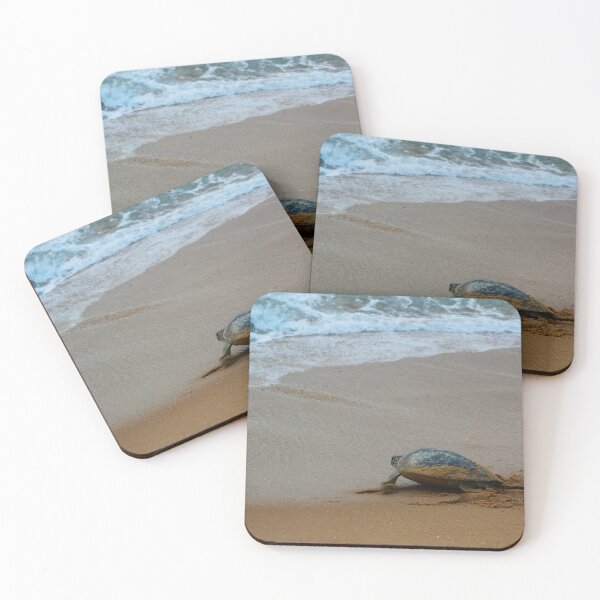 Item preview, Full Circle designed and sold by AspenEyesPhotography.