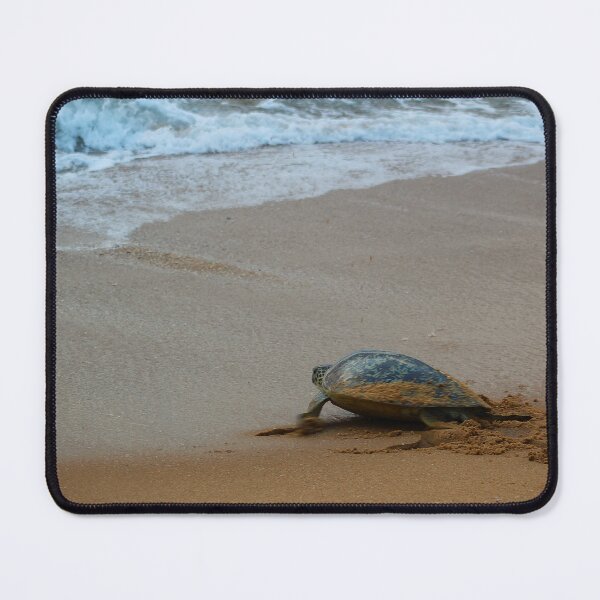 Item preview, Full Circle designed and sold by AspenEyesPhotography.