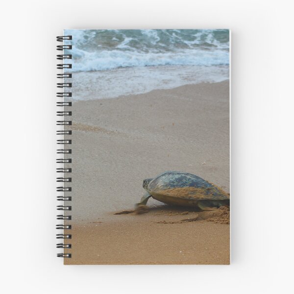 Item preview, Full Circle designed and sold by AspenEyesPhotography.