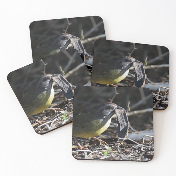 Item preview, Zapata Sparrow designed and sold by EnglandEcology.