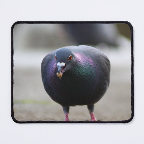 Item preview, Grubs Up designed and sold by AspenEyesPhotography.