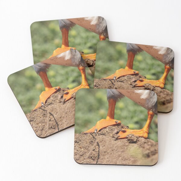 Item preview, Firm Footed designed and sold by AspenEyesPhotography.