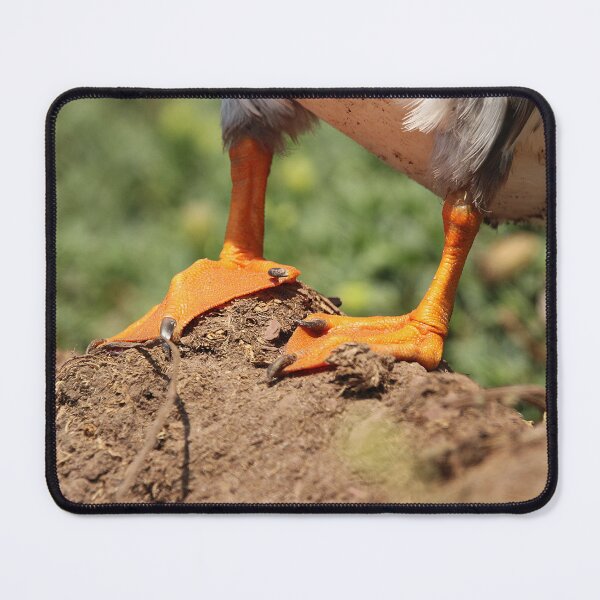 Item preview, Firm Footed designed and sold by AspenEyesPhotography.