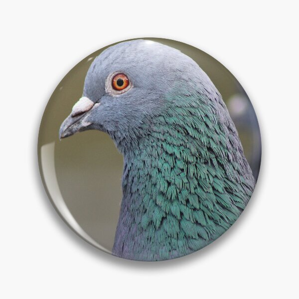 Item preview, Iridescent Beauty designed and sold by AspenEyesPhotography.