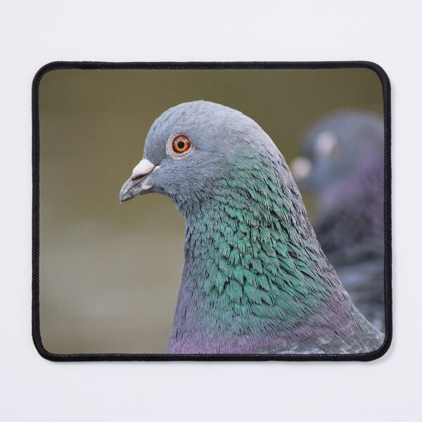 Item preview, Iridescent Beauty designed and sold by AspenEyesPhotography.