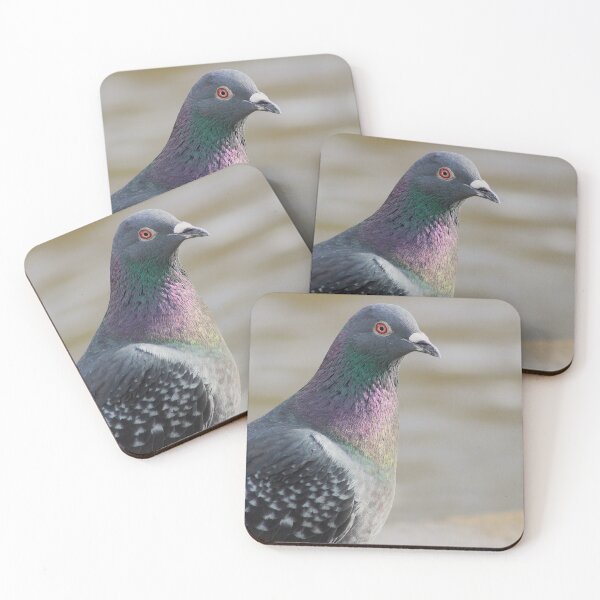 Item preview, Feathered Light designed and sold by AspenEyesPhotography.