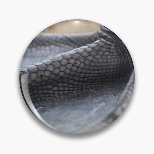 Item preview, Webbed Wonder designed and sold by AspenEyesPhotography.