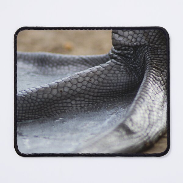 Item preview, Webbed Wonder designed and sold by AspenEyesPhotography.