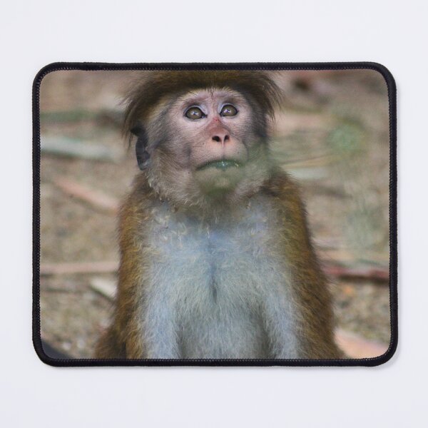 Item preview, Wide-Eyed Wonder designed and sold by AspenEyesPhotography.