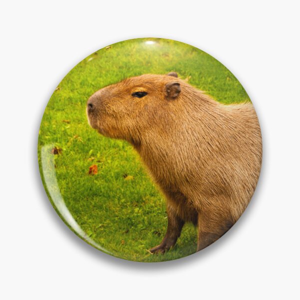 Item preview,  Capybara designed and sold by Vac1.