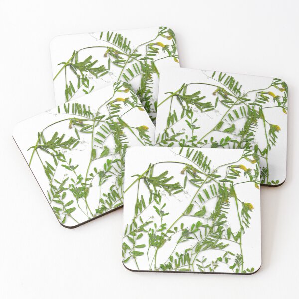 Item preview, Vetch/Vicia sativa designed and sold by TeodoraAnton.