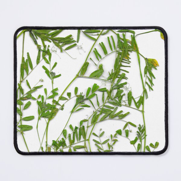 Item preview, Vetch/Vicia sativa designed and sold by TeodoraAnton.