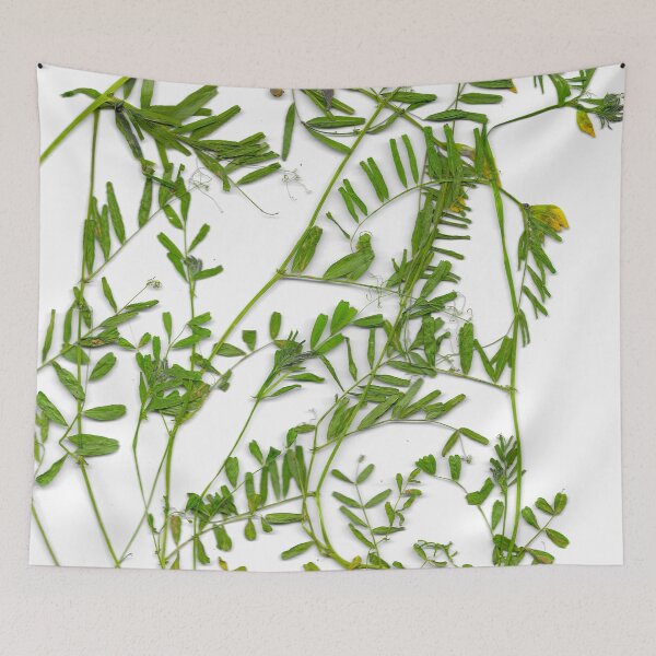 Item preview, Vetch/Vicia sativa designed and sold by TeodoraAnton.