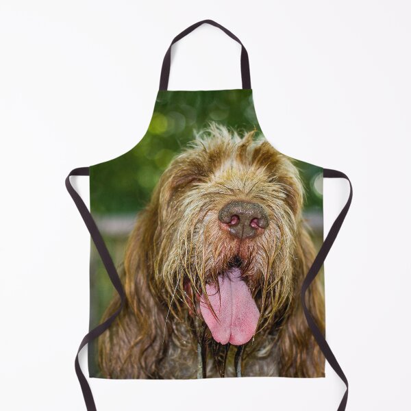Item preview, Make a wish Spinone by heidiannemorris © designed and sold by FOLK ART FUSION by heidiannemorris.