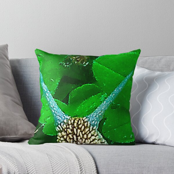 Artikelvorschau, Schnecke entworfen und verkauft von Academic Art Studio.