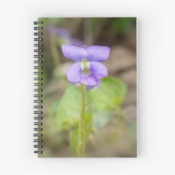 Item preview, Purple wild violet flower in springtime designed and sold by KRFNatureGifts.