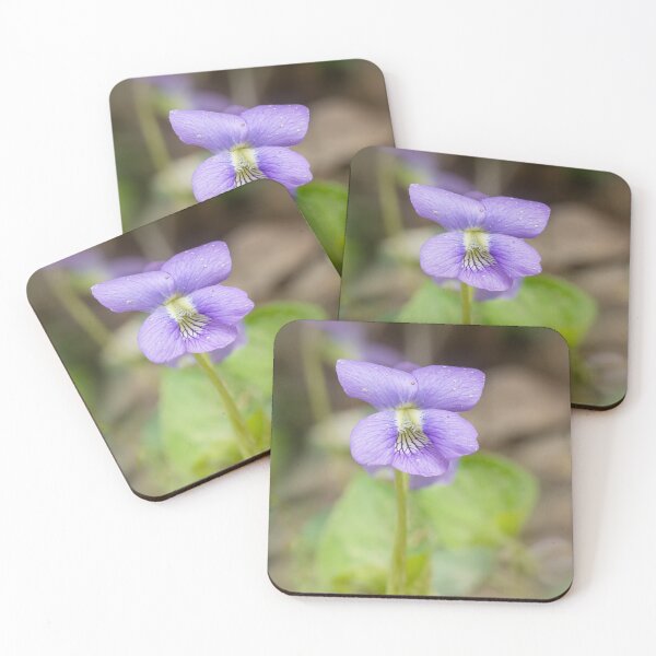 Item preview, Purple wild violet flower in springtime designed and sold by KRFNatureGifts.