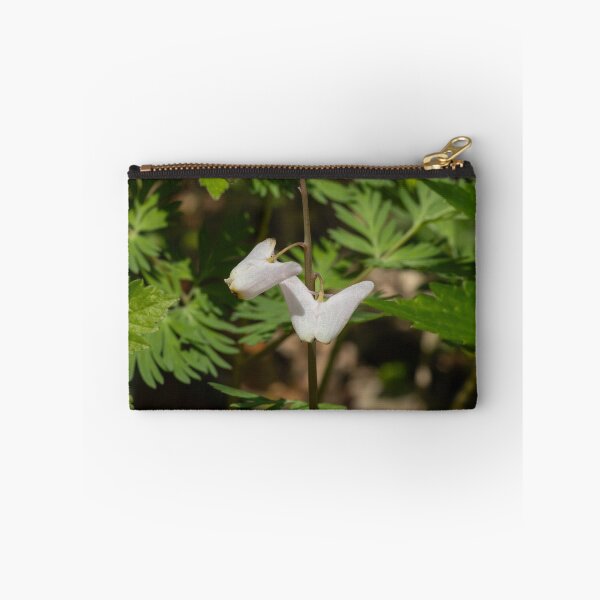Item preview, Dutchman's Breeches wildflowers blooming in springtime designed and sold by KRFNatureGifts.