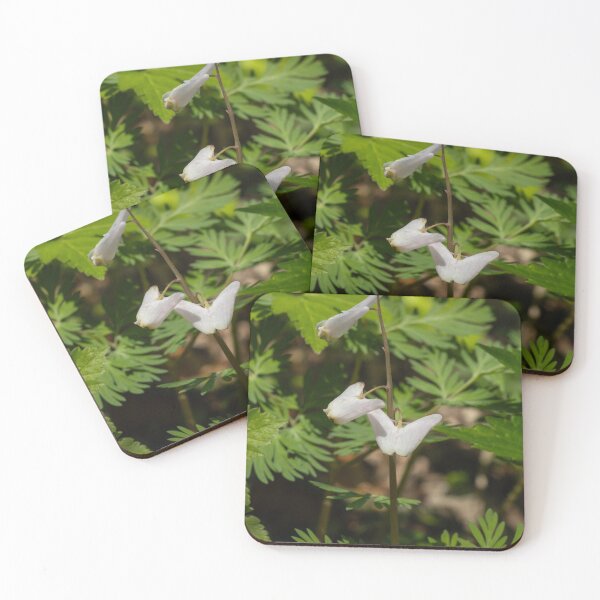 Item preview, Dutchman's Breeches wildflowers blooming in springtime designed and sold by KRFNatureGifts.