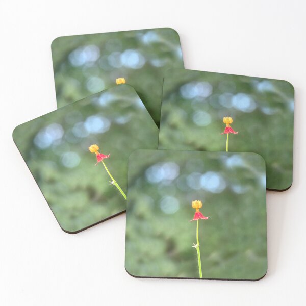Item preview, Single Milkweed Flower X210 designed and sold by RichFrancoCars.