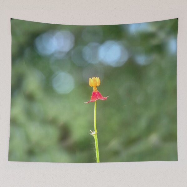 Item preview, Single Milkweed Flower X210 designed and sold by RichFrancoCars.