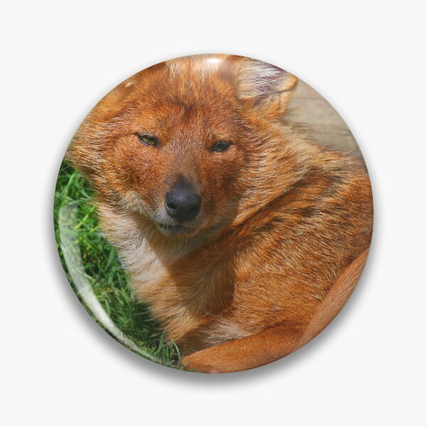 Item preview, Dhole Daze designed and sold by Fearless-Fox.