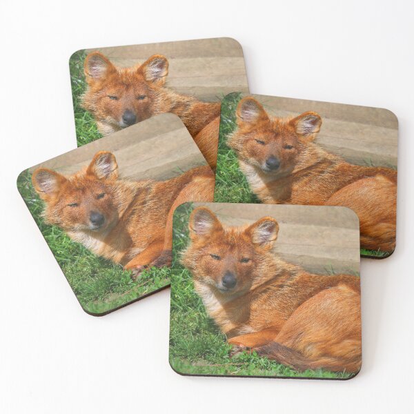 Item preview, Dhole Daze designed and sold by Fearless-Fox.