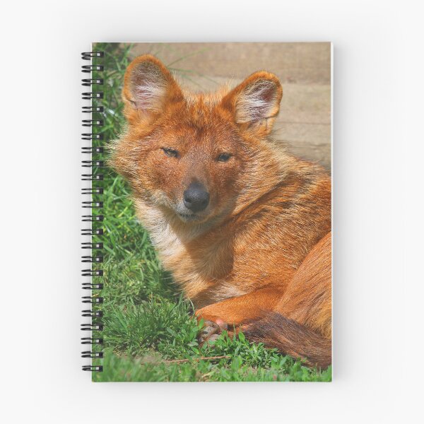 Item preview, Dhole Daze designed and sold by Fearless-Fox.