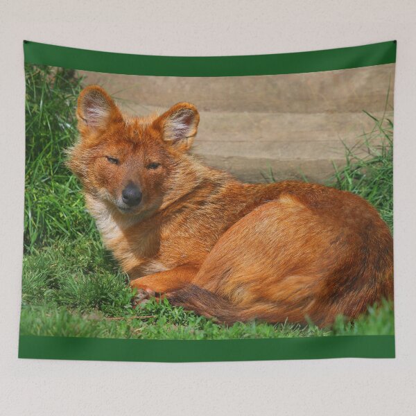 Item preview, Dhole Daze designed and sold by Fearless-Fox.