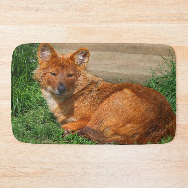 Item preview, Dhole Daze designed and sold by Fearless-Fox.