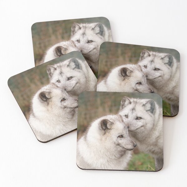 Item preview, Arctic Fox Cuddle designed and sold by Fearless-Fox.