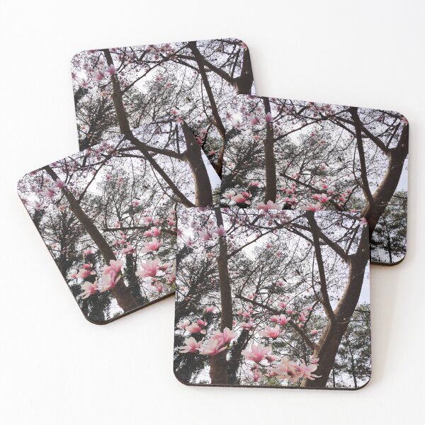 Item preview, Magnolia Trees Blossoming Pointing At a Partly Cloudy Sky designed and sold by Mothe3rd.