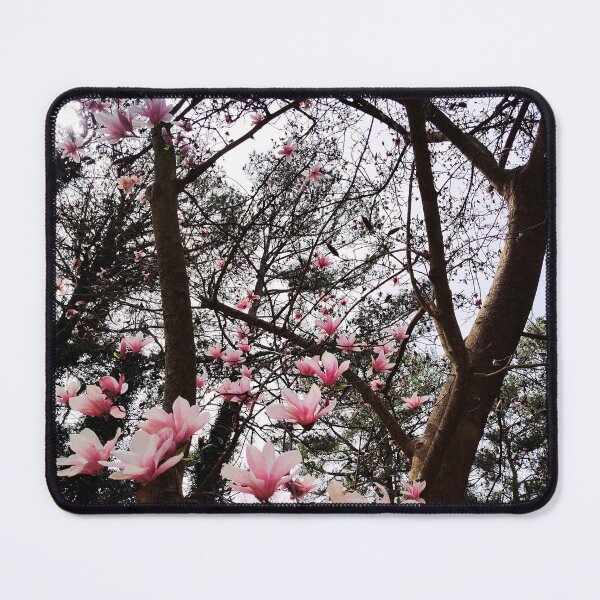 Item preview, Magnolia Trees Blossoming Pointing At a Partly Cloudy Sky designed and sold by Mothe3rd.