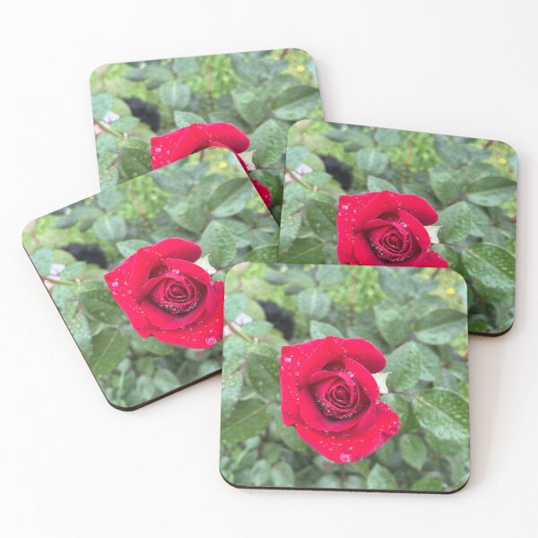 Item preview, April Rain designed and sold by TravelingTwins.