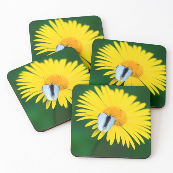 Item preview, White butterfly on yellow flower designed and sold by olena2552.