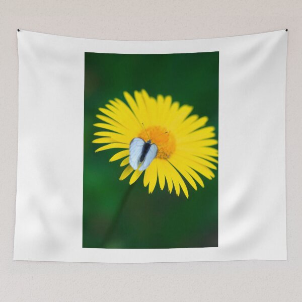 Item preview, White butterfly on yellow flower designed and sold by olena2552.