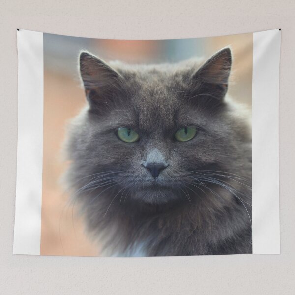Item preview, Portrait of cute street cat designed and sold by olena2552.