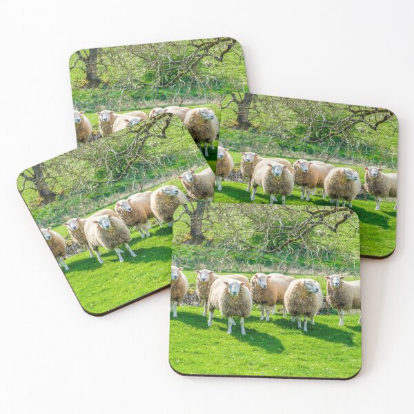 Item preview, Sheeps ! designed and sold by Geoff Shoults.