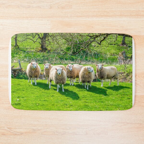 Item preview, Sheeps ! designed and sold by Geoff Shoults.