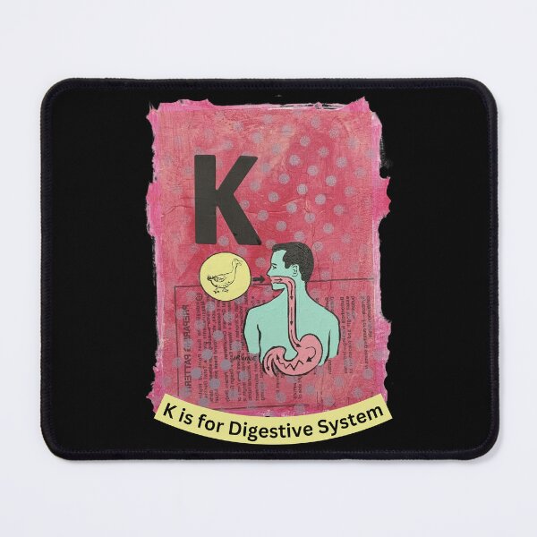 Item preview, Alphabet Flashcard - K is for Digestive System designed and sold by David Irvine.