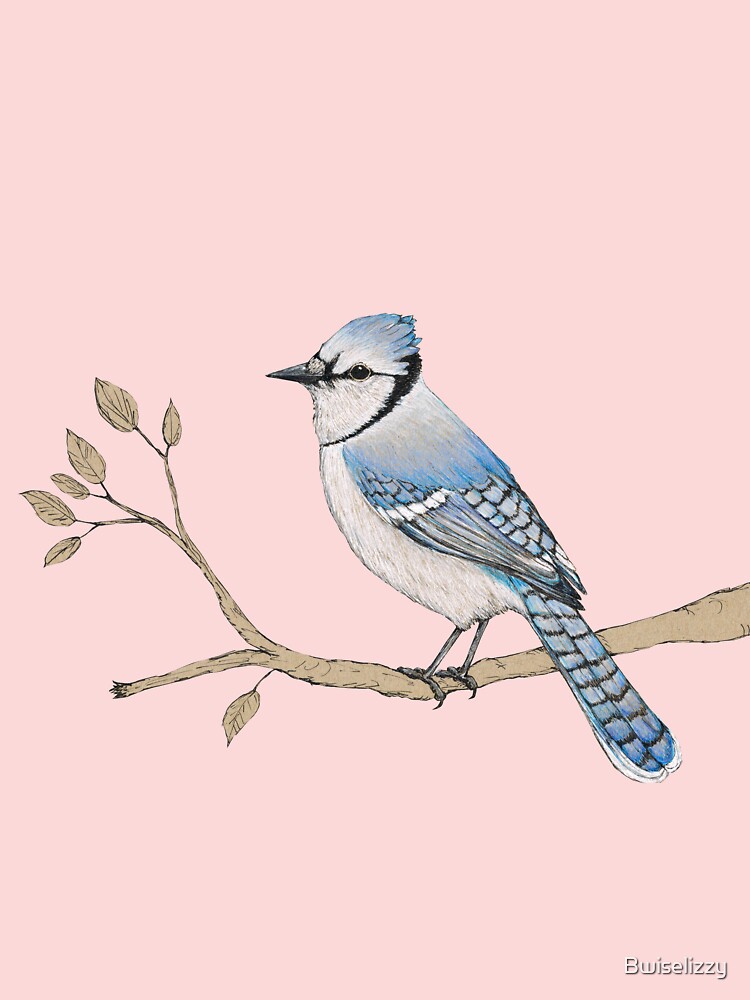 Blue Jay Blue Kids Clothing | Redbubble