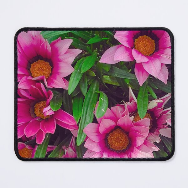 Item preview, Pink Gazania Flower – Botanical Wall Art Photography, Vibrant Summer Bloom designed and sold by branaghbel.
