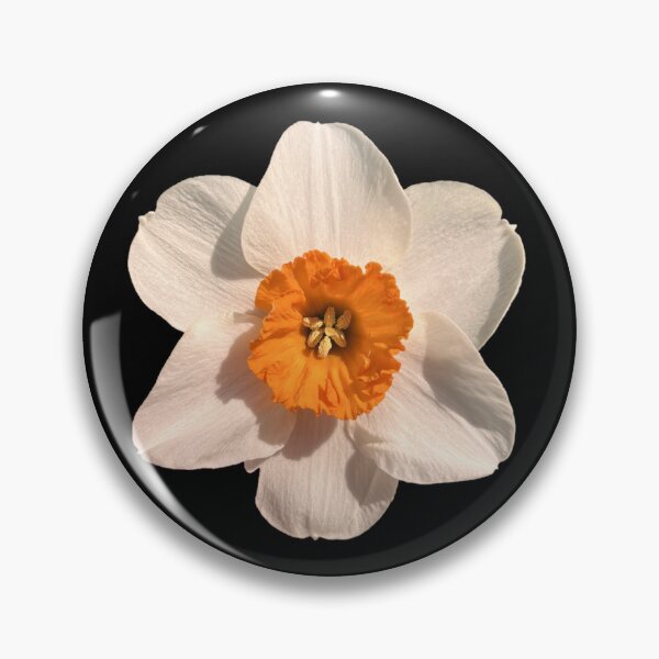 Item preview, White Orange Daffodil designed and sold by ascherf.