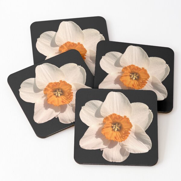 Item preview, White Orange Daffodil designed and sold by ascherf.