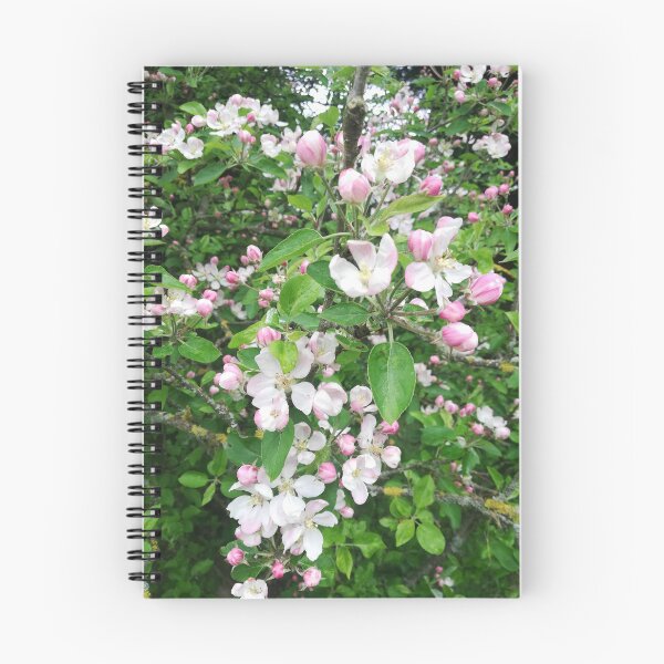 Item preview, Pink apple blossom photograph  designed and sold by esvb.