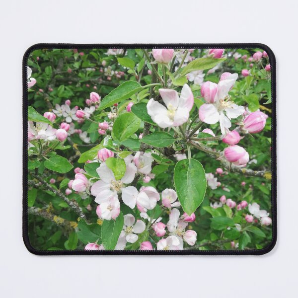 Item preview, Pink apple blossom photograph  designed and sold by esvb.