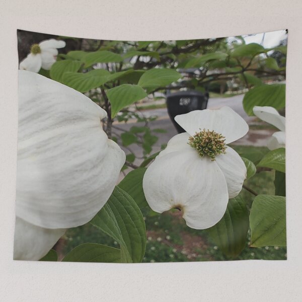 Item preview, Dogwood Flowers On An Atlanta Neighborhood Street designed and sold by Mothe3rd.